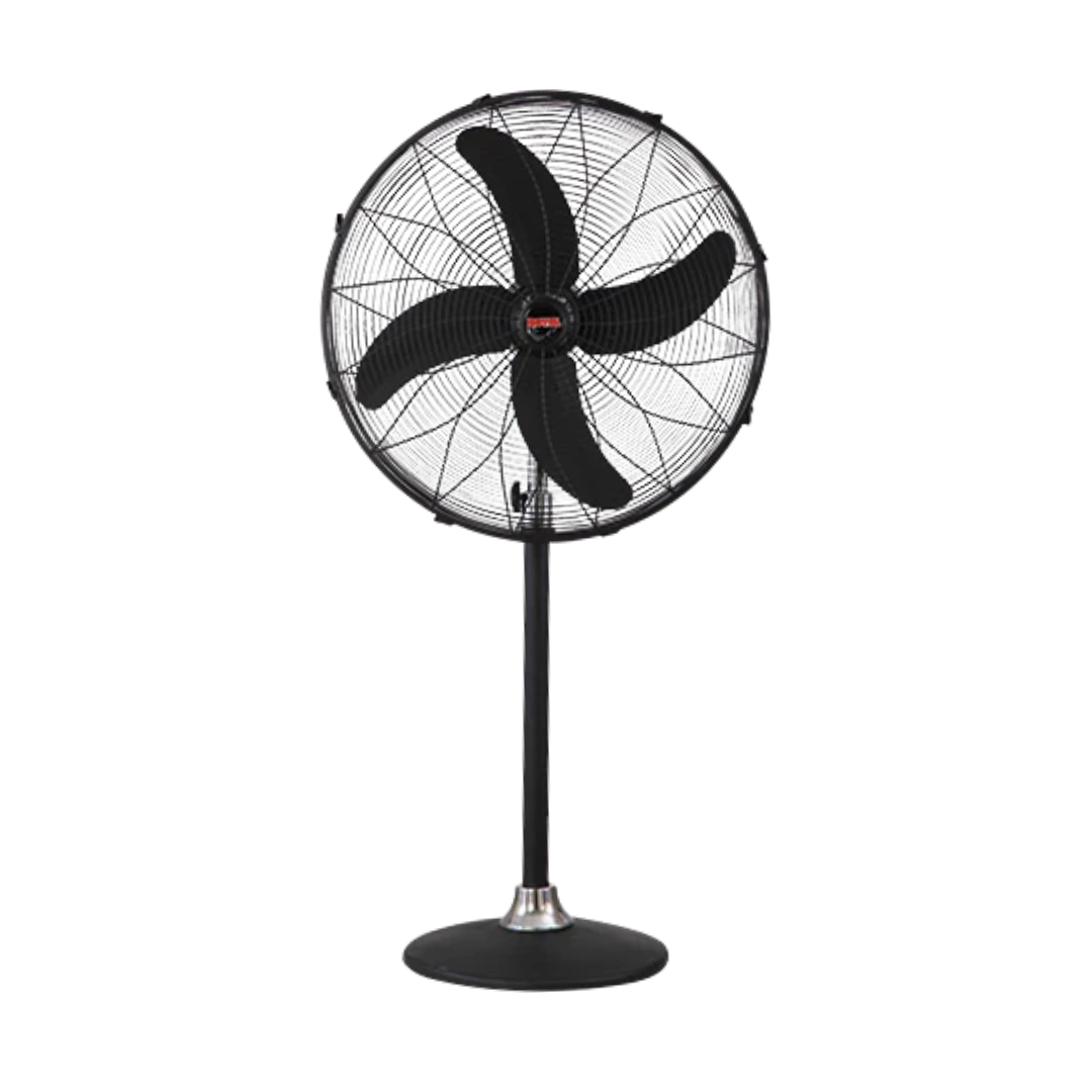 ROYAL FAN Pedestal Fan | AC/DC Inverter Fan | Stand Fan | 24 Inch | 100% Pure Copper